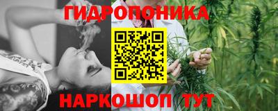 хмурый Свободный